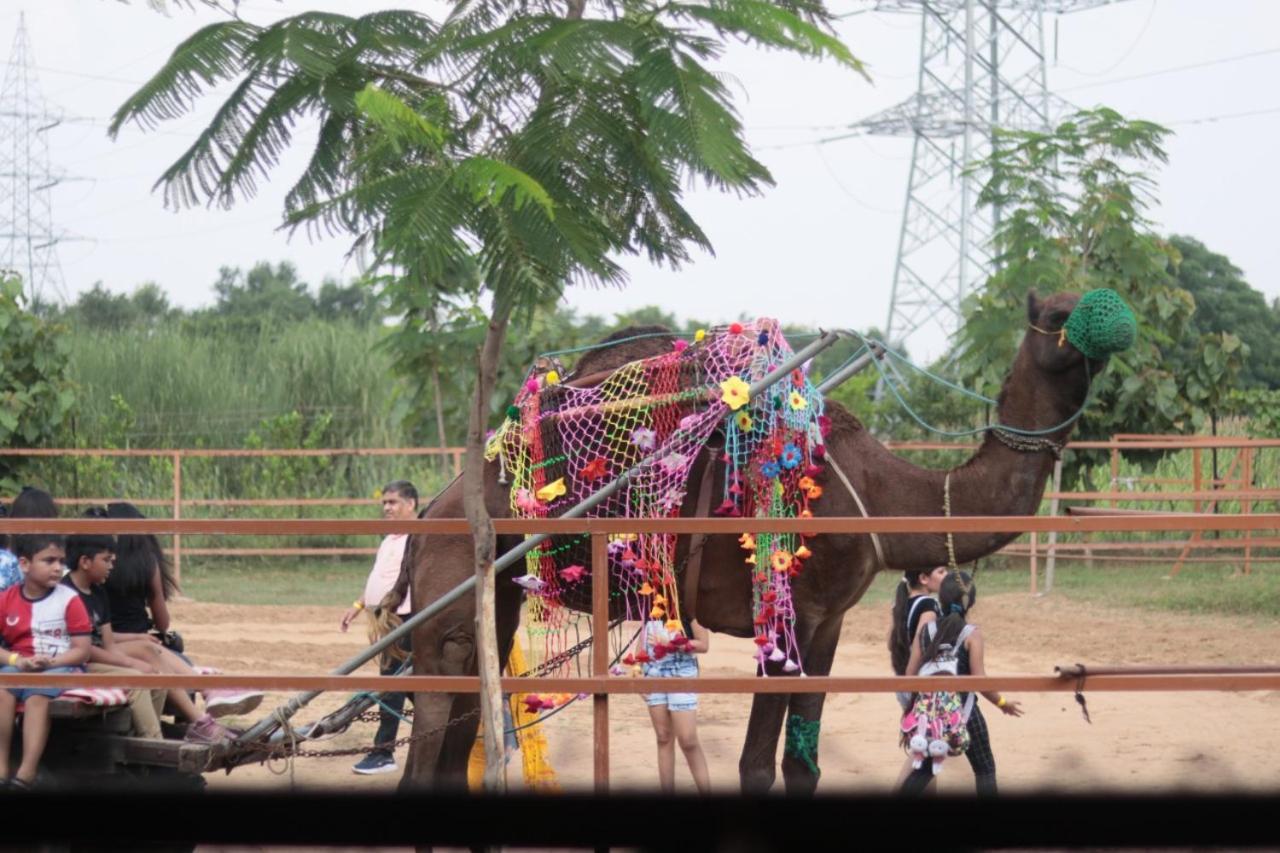 Madhavgarh Farm & Resort Гургаон Экстерьер фото