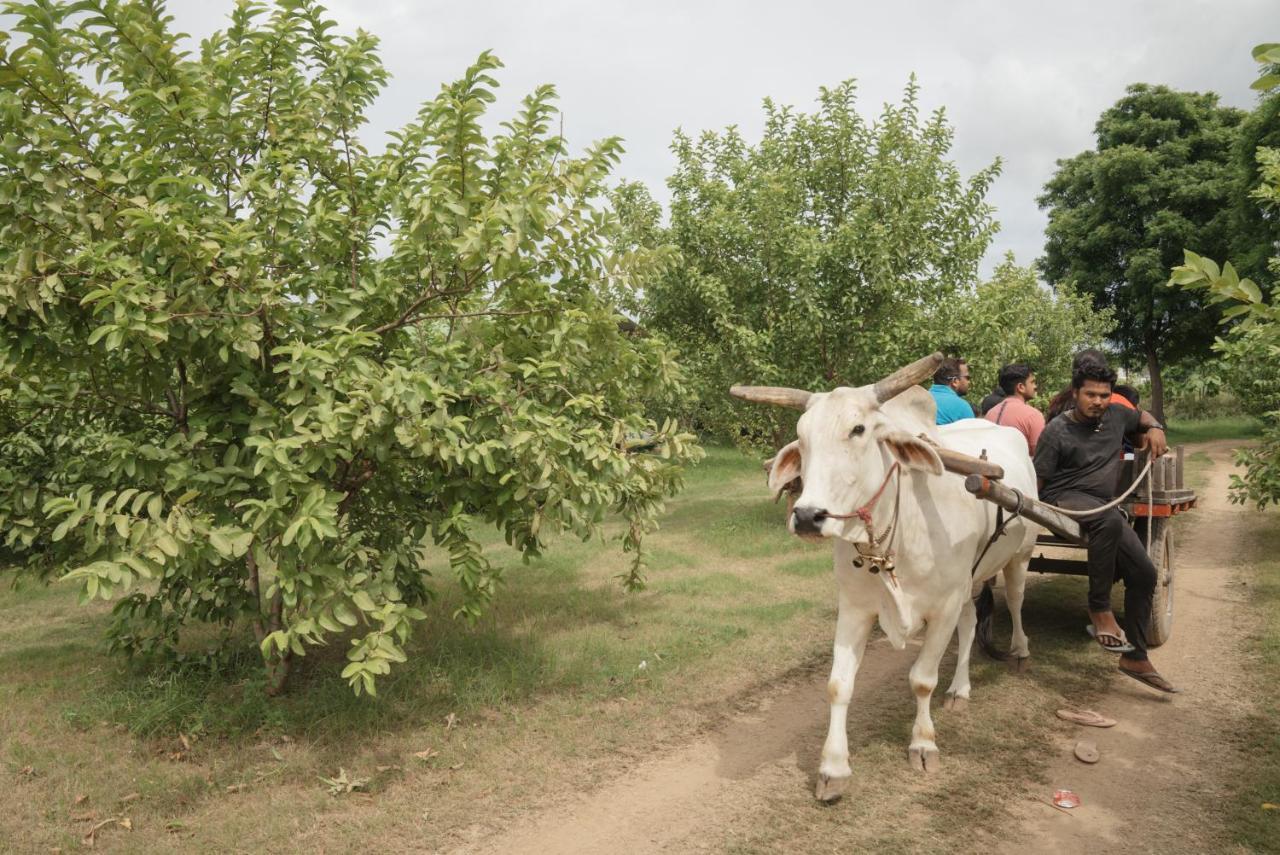 Madhavgarh Farm & Resort Гургаон Экстерьер фото